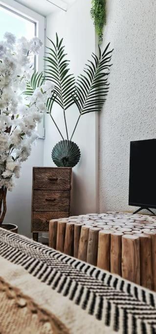 Apartmán #New#Terrasse Sud Ouest#Pied De La Cite #1 Carcassonne Exteriér fotografie