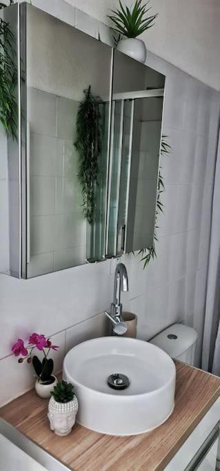 Apartmán #New#Terrasse Sud Ouest#Pied De La Cite #1 Carcassonne Exteriér fotografie