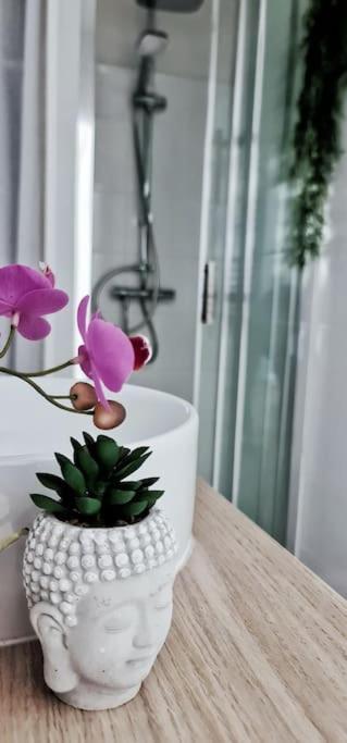 Apartmán #New#Terrasse Sud Ouest#Pied De La Cite #1 Carcassonne Exteriér fotografie